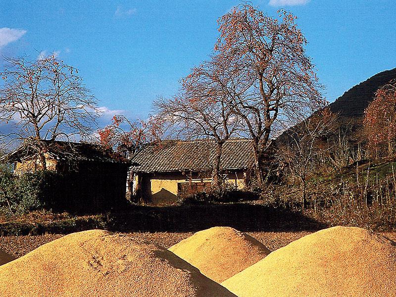Hotel Misato Azumino Exterior foto